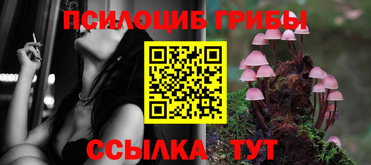 Галлюциногенные грибы Psilocybine cubensis  Вход с VPN  Нурлат 